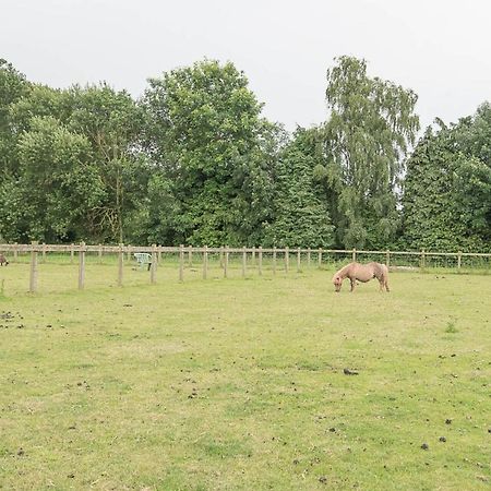 Grove Farm Bungalow With Swimming Pool, Dallinghoo Woodbridge Exteriör bild