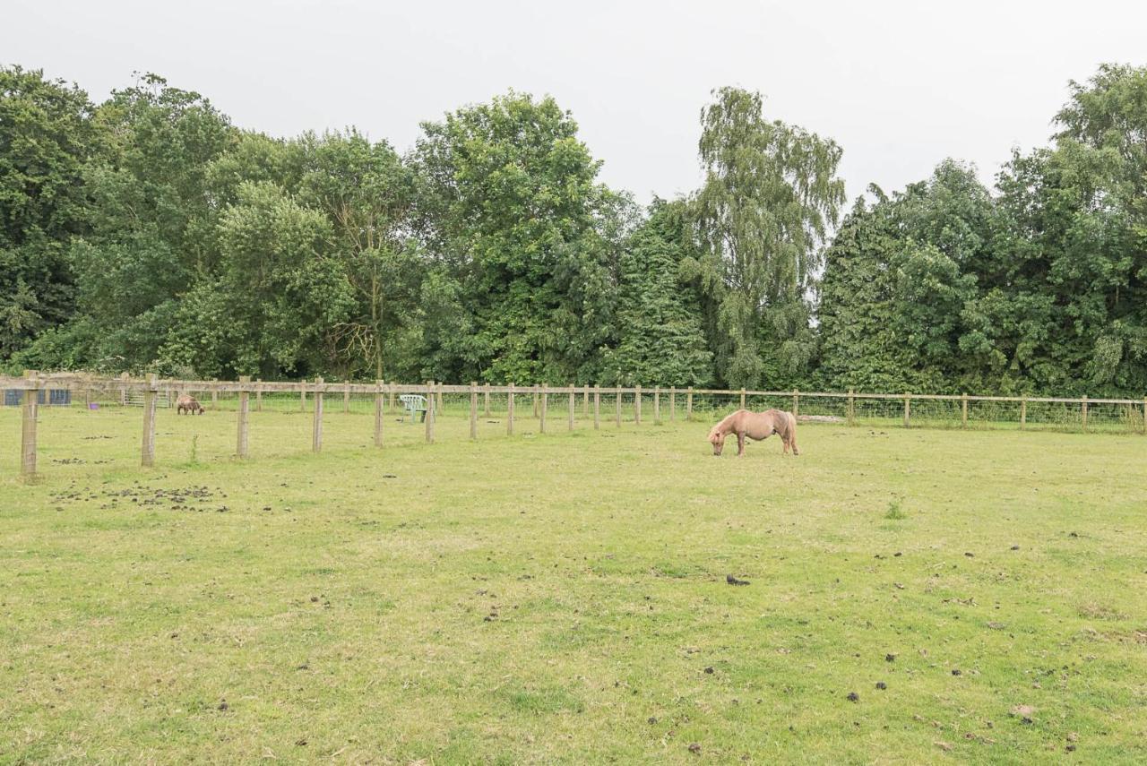 Grove Farm Bungalow With Swimming Pool, Dallinghoo Woodbridge Exteriör bild
