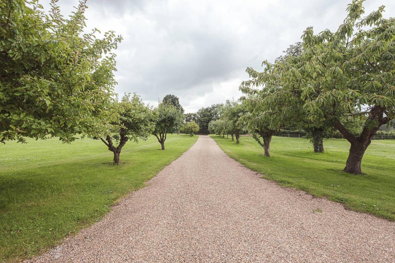 Grove Farm Bungalow With Swimming Pool, Dallinghoo Woodbridge Exteriör bild