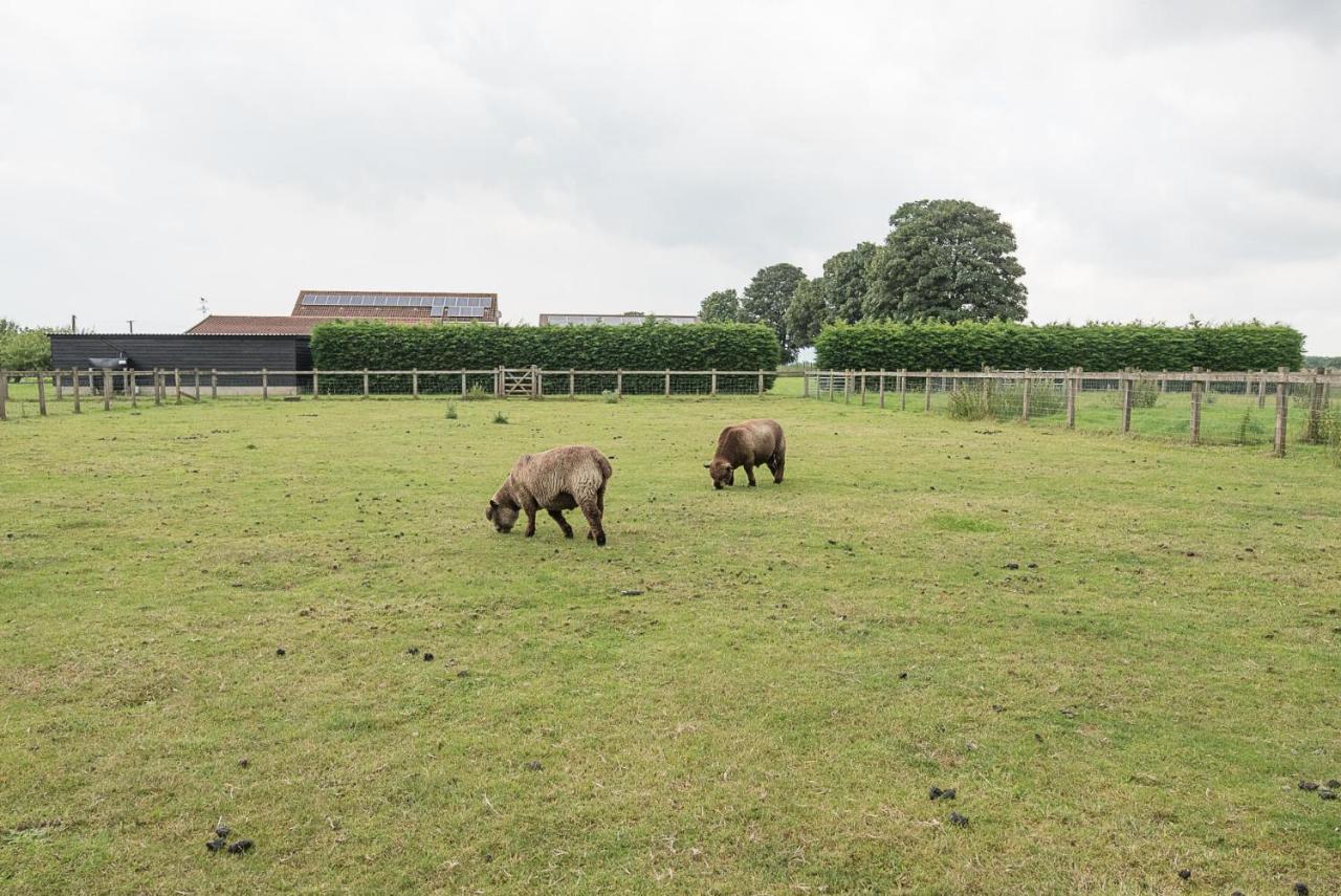 Grove Farm Bungalow With Swimming Pool, Dallinghoo Woodbridge Exteriör bild